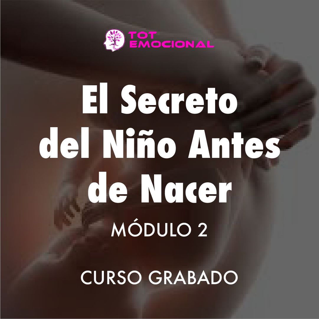 ( CURSO GRABADO ) – El secreto del Niño Antes de Nacer – <BR>módulo 2