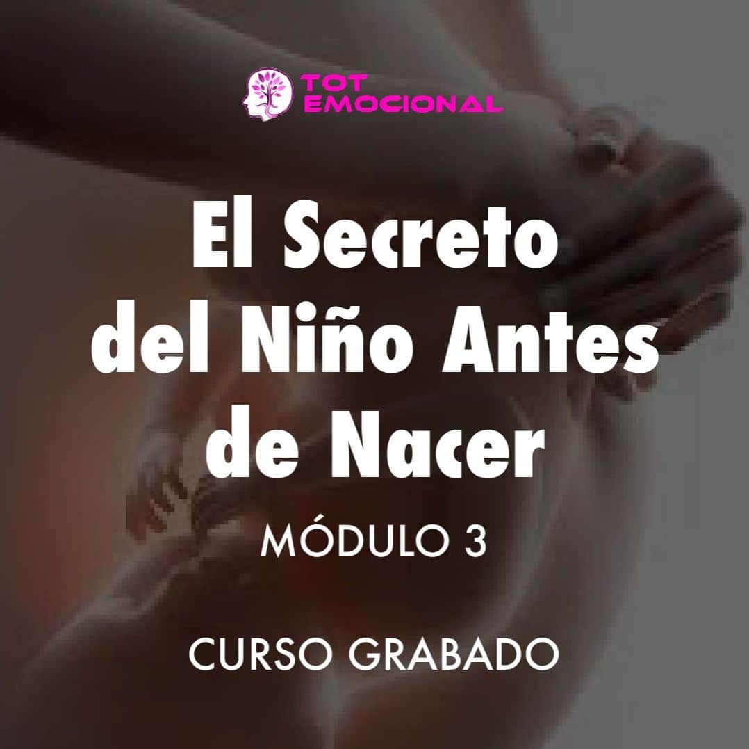 ( CURSO GRABADO ) – El secreto del Niño Antes de Nacer – <BR>módulo 3