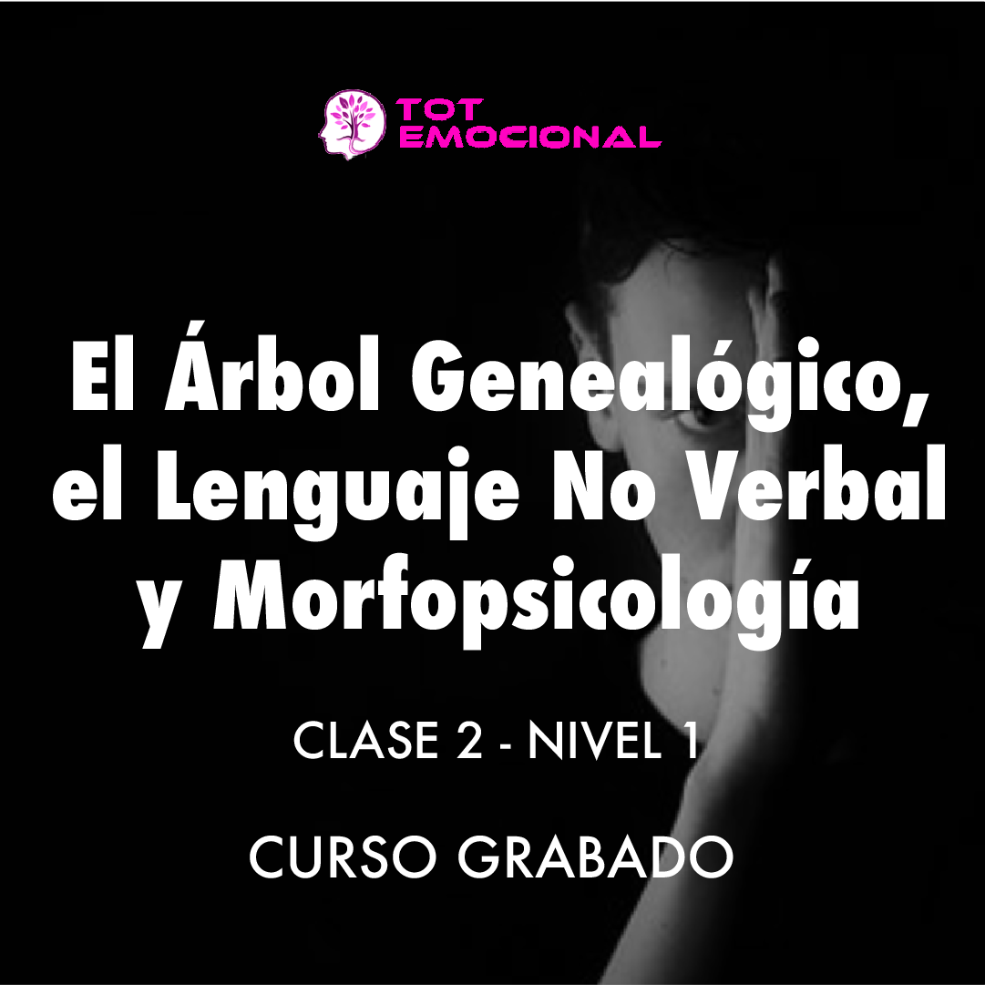 ( CURSO GRABADO ) El Árbol Genealógico. El lenguaje no verbal y la morfopsicología. <BR> Clase 2
