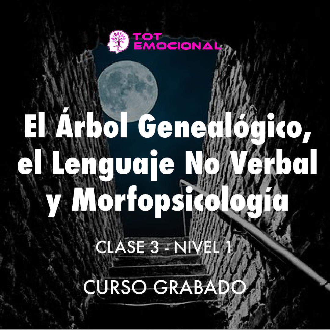( CURSO GRABADO ) El Árbol Genealógico. El lenguaje no verbal y la morfopsicología. <BR> Clase 3