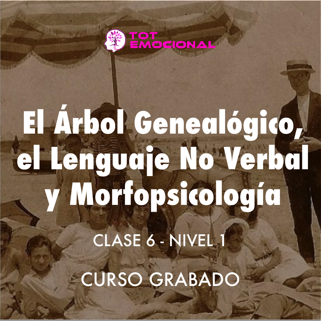 ( CURSO GRABADO ) El Árbol Genealógico. El lenguaje no verbal y la morfopsicología. <BR> Clase 6