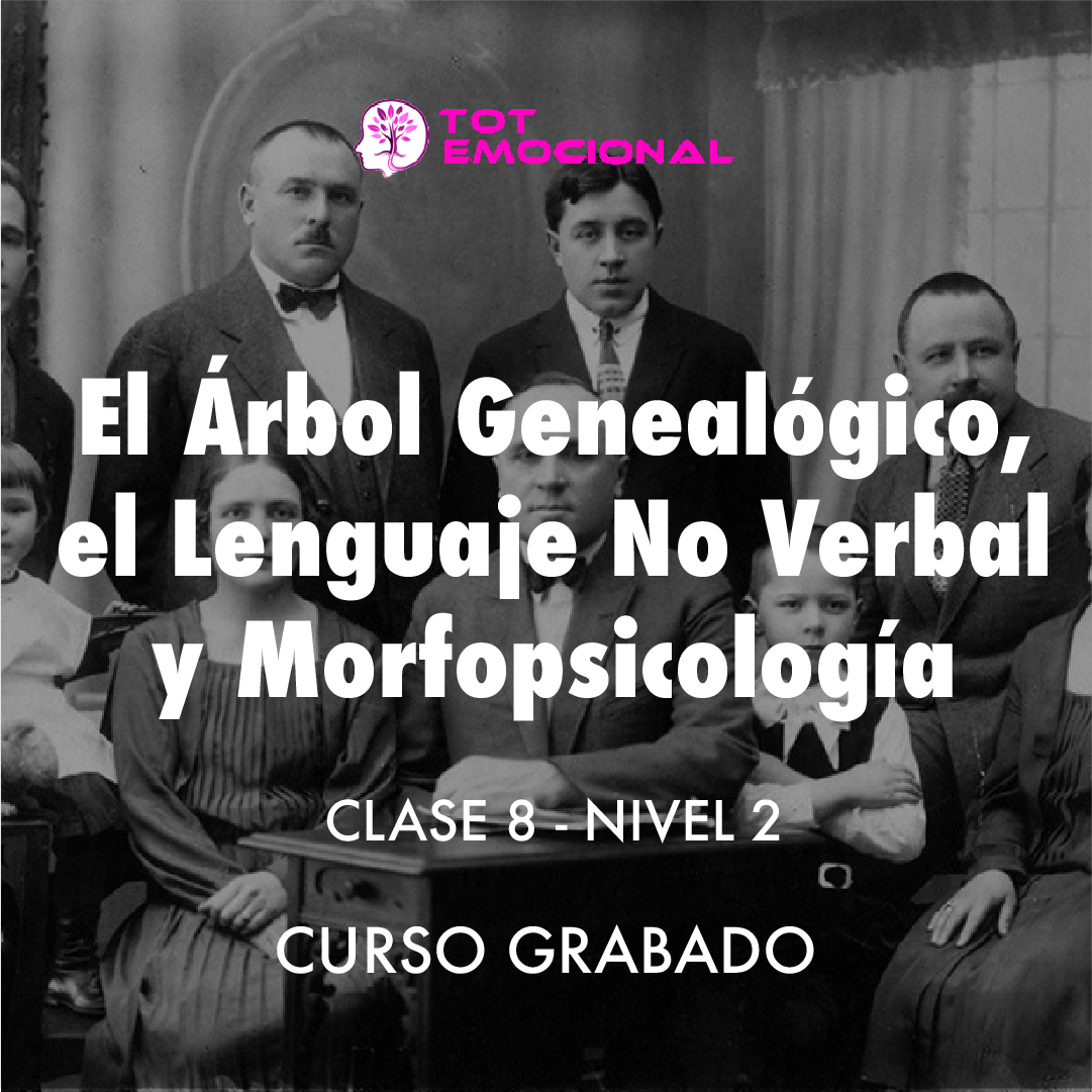 ( CURSO GRABADO ) El Árbol Genealógico. El lenguaje no verbal y la morfopsicología. <BR> Clase 8