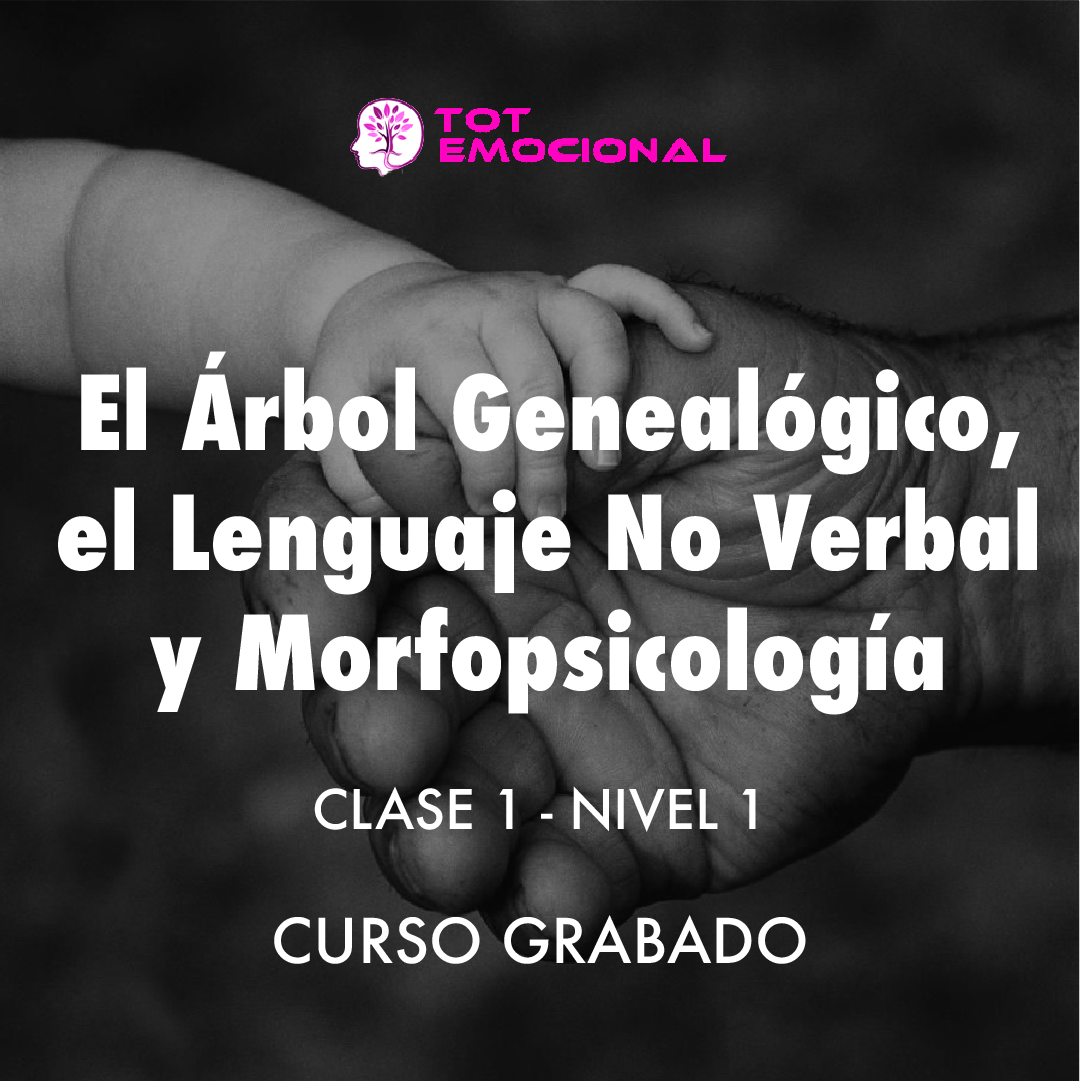 ( CURSO GRABADO ) El Árbol Genealógico. El lenguaje no verbal y la morfopsicología. <BR> Clase 1